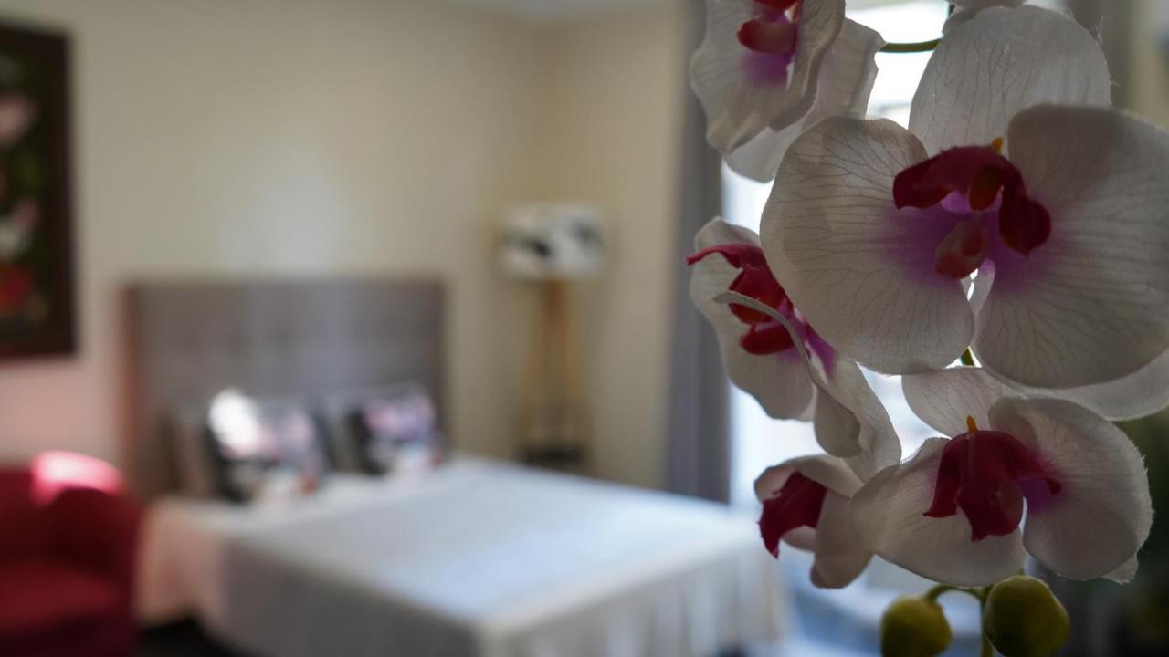 Cozy Studio With A Sea View ニース エクステリア 写真